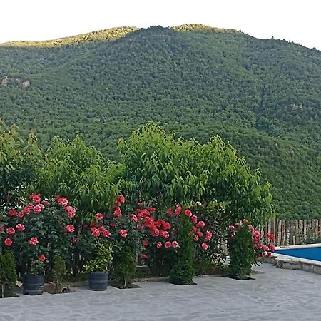 איג'באן Green Garden Կանաչ Այգի מראה חיצוני תמונה