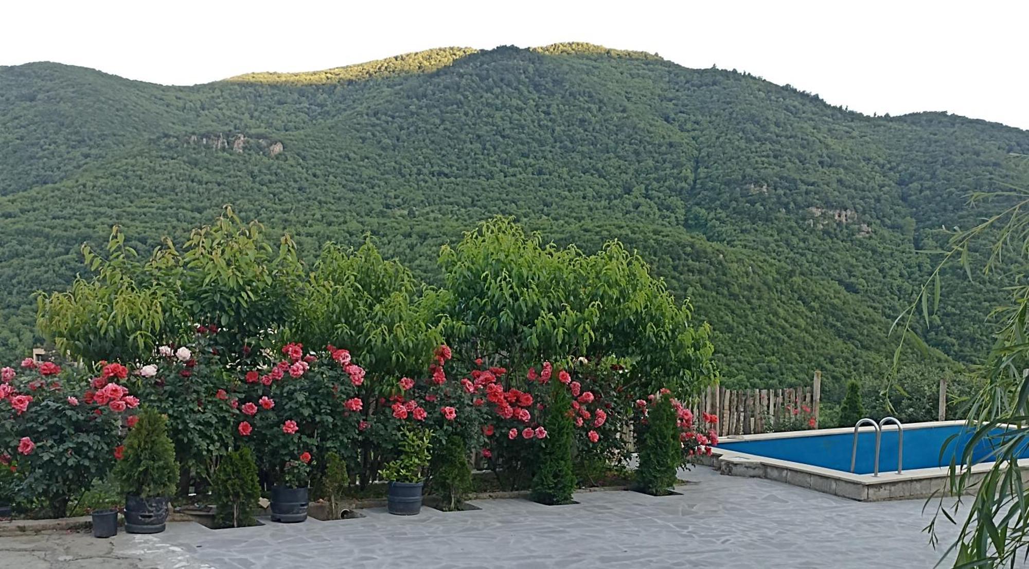 איג'באן Green Garden Կանաչ Այգի מראה חיצוני תמונה