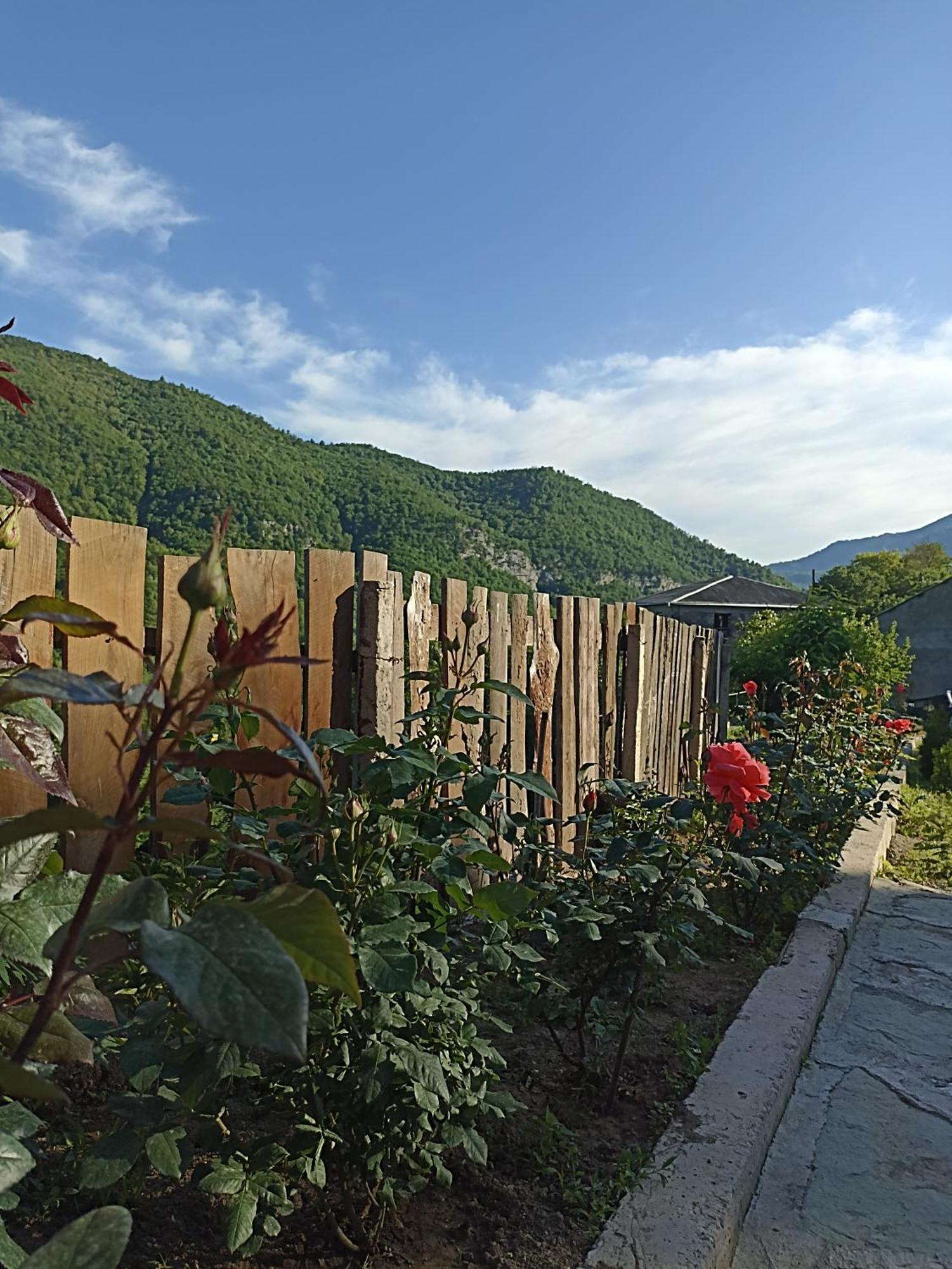 איג'באן Green Garden Կանաչ Այգի מראה חיצוני תמונה
